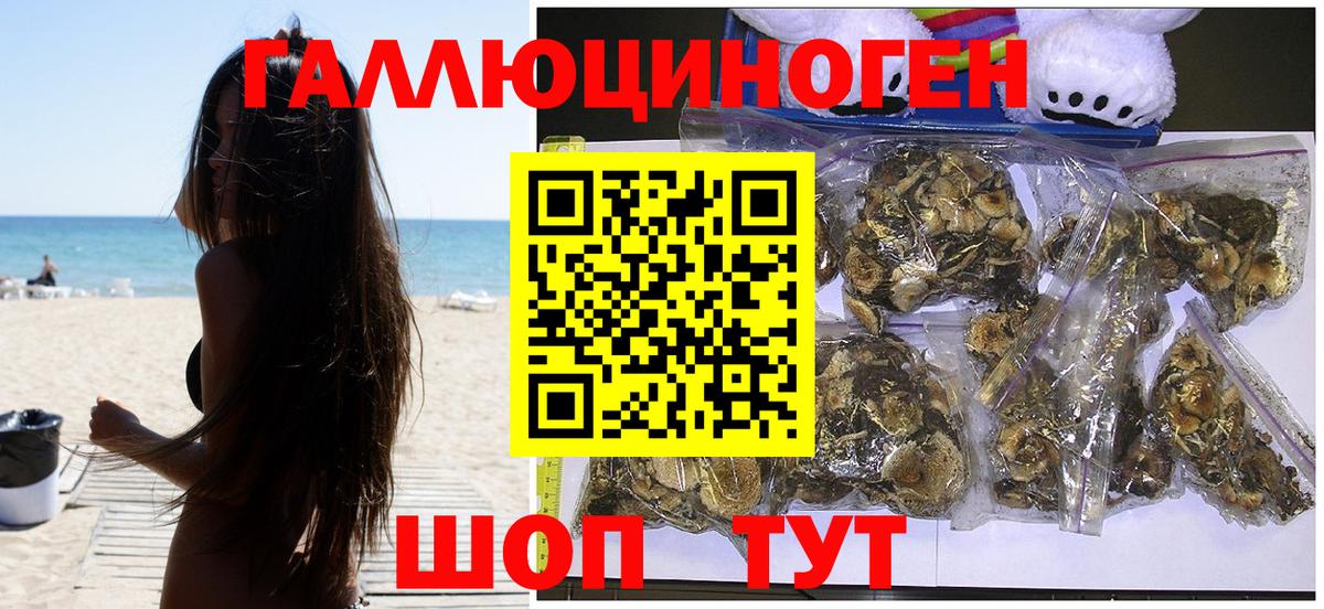 Псилоцибиновые грибы MAGIC MUSHROOMS  Вход с VPN  Псилоцибиновые грибы Cubensis  Гудермес 